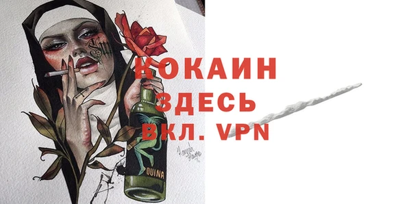дмт Инсар