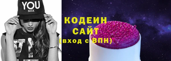 дмт Инсар