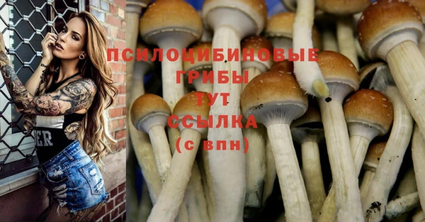 кокаин колумбия Иннополис