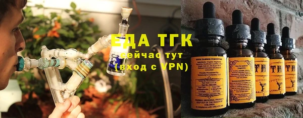 дмт Инсар