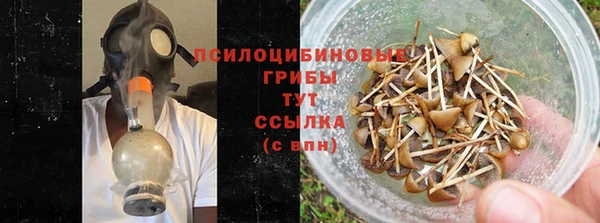 дмт Инсар