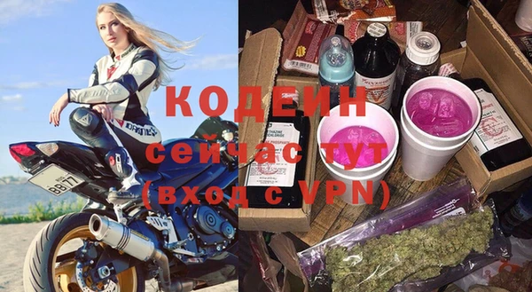 дмт Инсар