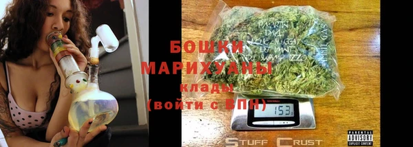 дмт Инсар