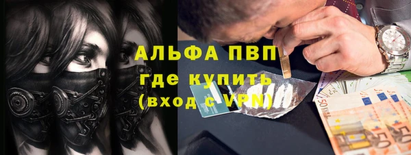дмт Инсар