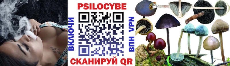 Псилоцибиновые грибы MAGIC MUSHROOMS  Купить  Бодайбо 